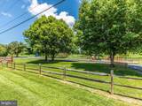 24 Lombard Street - Photo 67