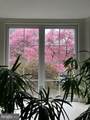 610 Wadsworth Avenue - Photo 6