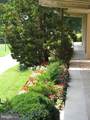 490 M Street - Photo 4
