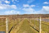 0 Cold Storage Road - Photo 48