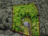 554 Wispy Branch Lane - Photo 42