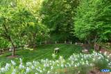 1790 Lambs Rd - Photo 41
