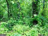 1607 Lake Ferndale Drive - Photo 42