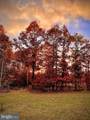 1607 Lake Ferndale Drive - Photo 49
