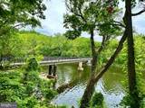 12703 Lotte Drive - Photo 30