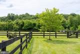 2810 Hoffman Mill Road - Photo 31
