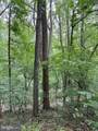 60 Mountain Breeze Lane - Photo 82
