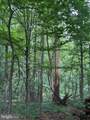 60 Mountain Breeze Lane - Photo 87