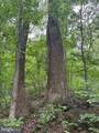 60 Mountain Breeze Lane - Photo 93