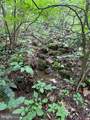 60 Mountain Breeze Lane - Photo 94
