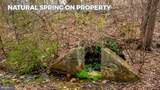 1418 Gallagherville Road - Photo 11