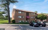 6017 Majors Lane - Photo 1