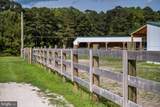 31191 Johnson Road - Photo 90