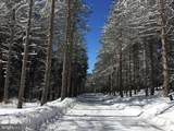 Lot 1 Thomas Circle - Photo 49