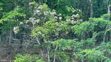 Lot 292 Ridge View Rd. - Photo 20