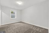 6712 Moly Drive - Photo 78