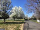 12520 Paige Lane - Photo 104