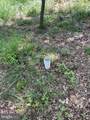 624 Mountain Lion Lane - Photo 31