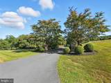 40656 Canongate Drive - Photo 2