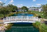 30996 Crepe Myrtle Drive - Photo 49