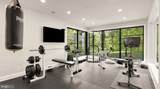 3 Bay Tree Lane - Photo 40