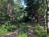 1217 Barton Road - Photo 63