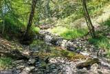 1956 Dove Hollow Road - Photo 75