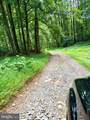 669 Gid Brown Hollow Road - Photo 48