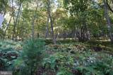 1453 Dry Run Road - Photo 35
