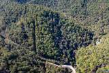 13630 Crabtree Falls Hwy - Photo 2