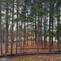 HOMESITE 68 Marsh Elder Road - Photo 16