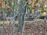  Whitetail Drive - Photo 14