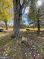 10411 Old Indian Head Road - Photo 52