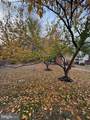 11640 Pleasant Meadow Drive - Photo 80