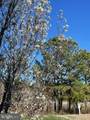 26773 Chatham Lane - Photo 8