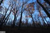 Lot 67 Mill Mountain Road - Photo 1
