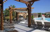 31568 Winterberry Parkway - Photo 47
