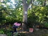 105 Seymour Avenue - Photo 29