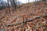 Lot 70 & 71 Mill Mountain Road - Photo 16