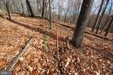 Lot 70 & 71 Mill Mountain Road - Photo 17
