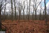 Lot 70 & 71 Mill Mountain Road - Photo 22