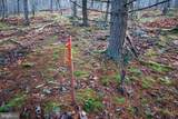 Lot 70 & 71 Mill Mountain Road - Photo 4