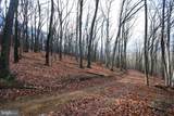 Lot 70 & 71 Mill Mountain Road - Photo 9