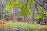 4224 Piney Grove Road - Photo 7