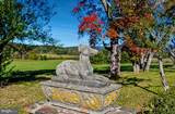 1610 Delaplane Grade Road - Photo 110
