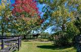 1610 Delaplane Grade Road - Photo 21