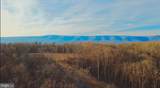 152.44 Acres Lot 2 Laurel Grove Road - Photo 2