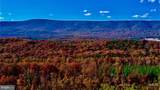 152.44 Acres Lot 2 Laurel Grove Road - Photo 4