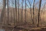 Lot 5, 34.53 Acres Lick Creek - Photo 5