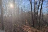 Lot 5, 34.53 Acres Lick Creek - Photo 7